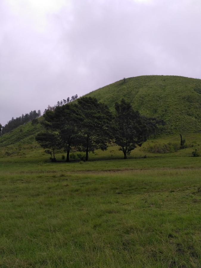 Ljen Volcano Bed N Tour Licin Dış mekan fotoğraf