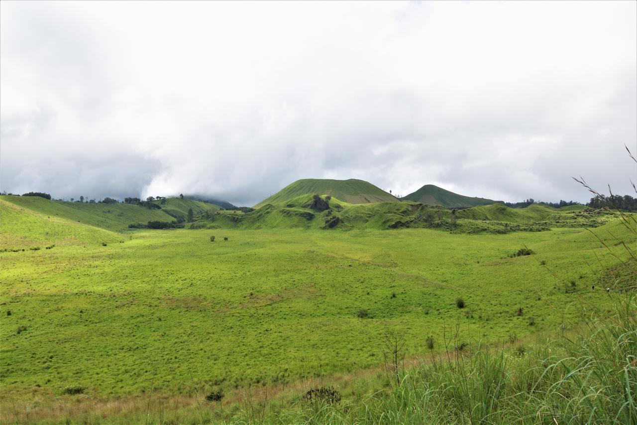 Ljen Volcano Bed N Tour Licin Dış mekan fotoğraf